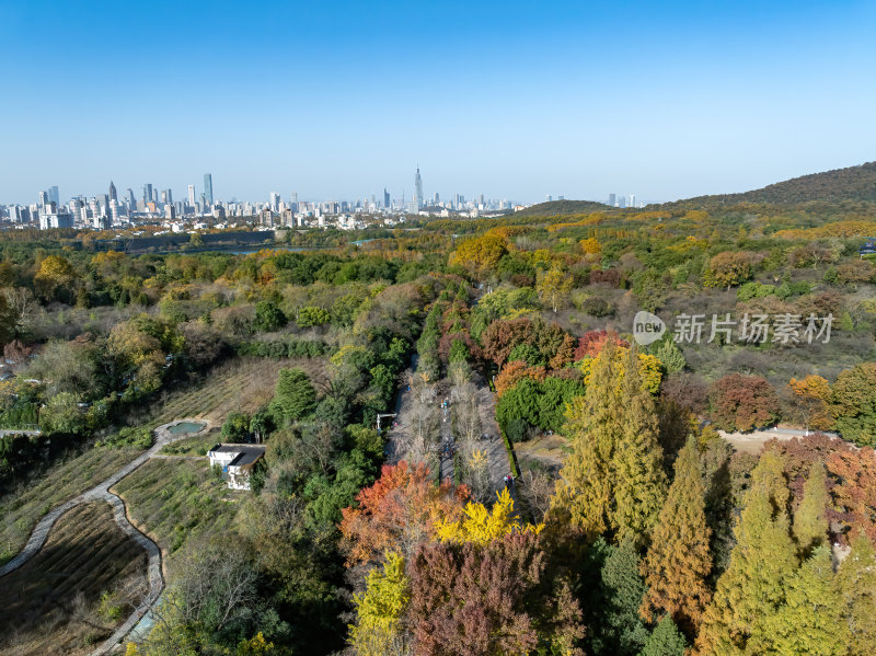 江苏南京灵山风景区前湖秋天秋色航拍