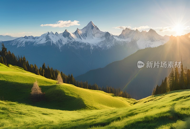 雪山高原草原森林风景