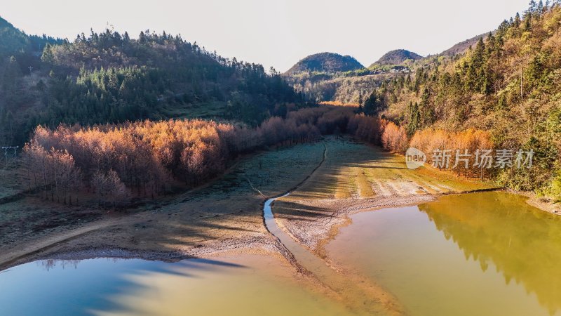 重庆酉阳：天山堡水杉红似火