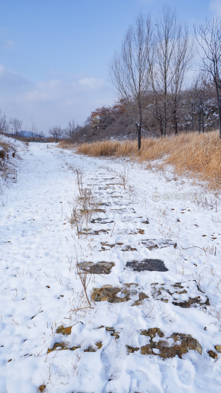 公园山谷小路雪景