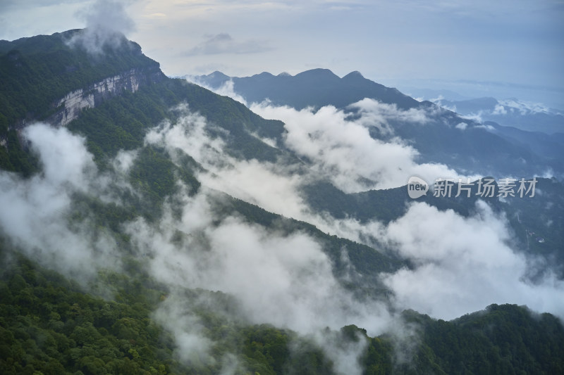 云海中的金佛山