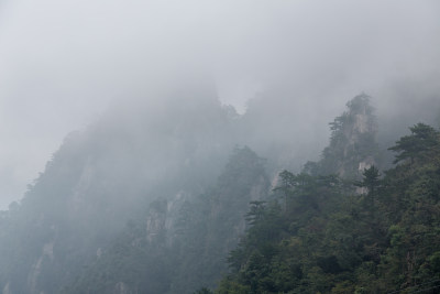 云海中的大明山