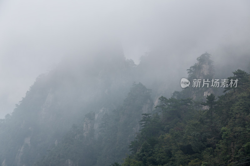 云海中的大明山