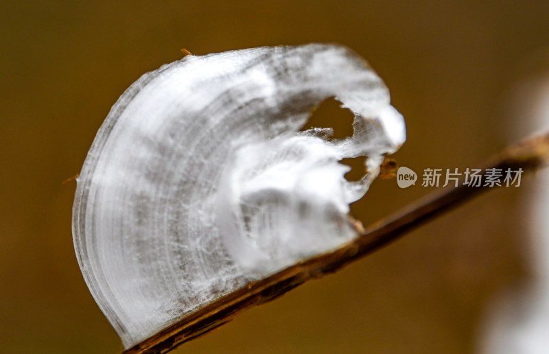 重庆酉阳：冻雨.冰花