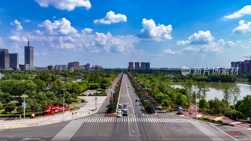 江西抚州城市大道绿化植物车辆行驶航拍图