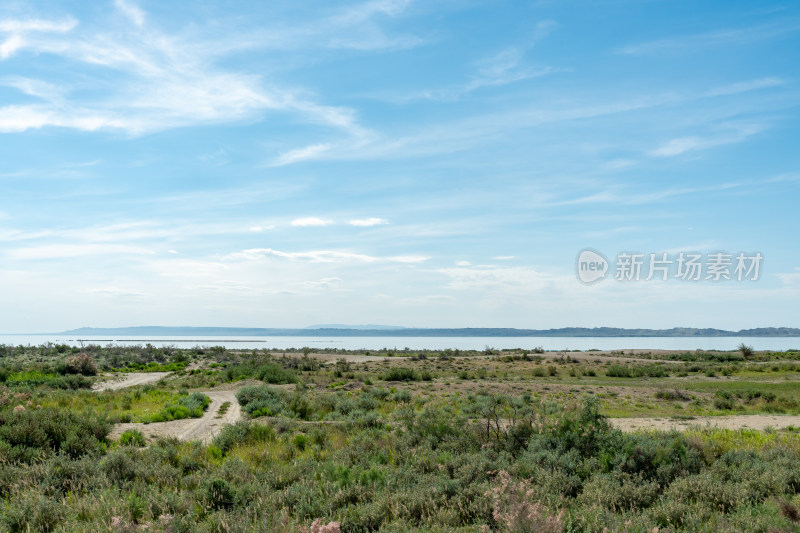 新疆乌伦古湖风景