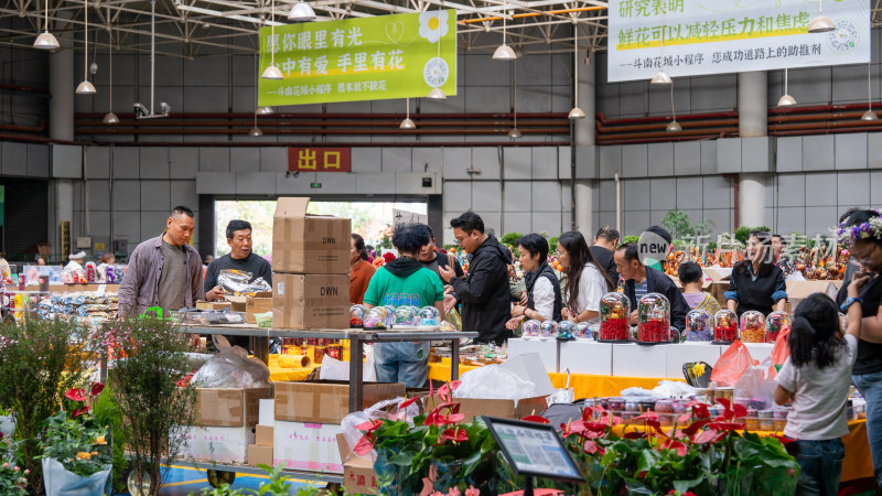 云南昆明斗南花市吸引大量游客前来买花