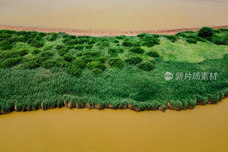 东营黄河口生态旅游区