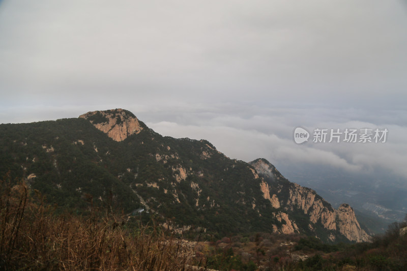 云海 山峰 山峦 清晨 泰山 壮观