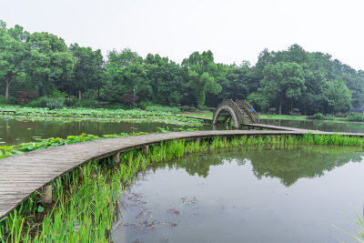 武汉中国科学院武汉植物园风光