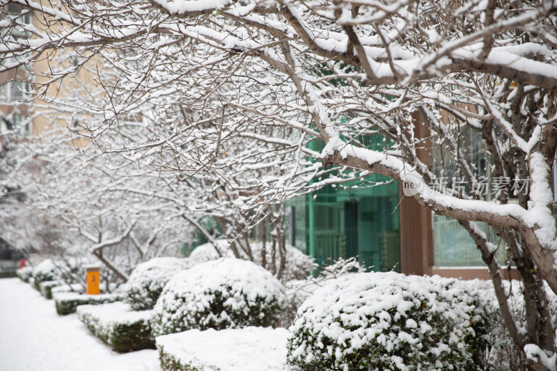 大雪后小区屋外厚厚的积雪雪景