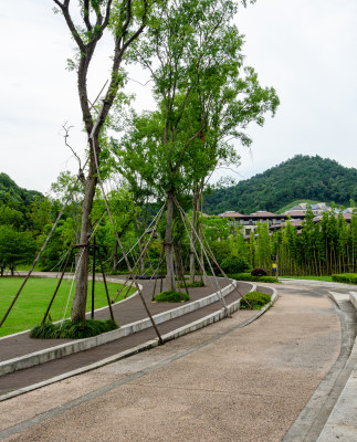 绿树成荫的户外景观步道