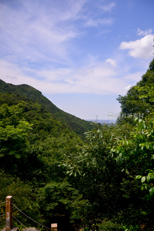 山中的风景