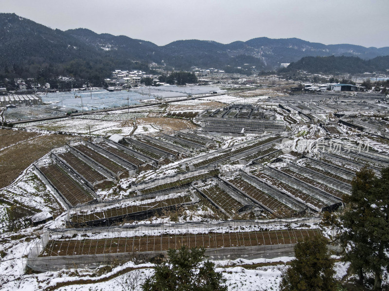 农田农田雪景航拍