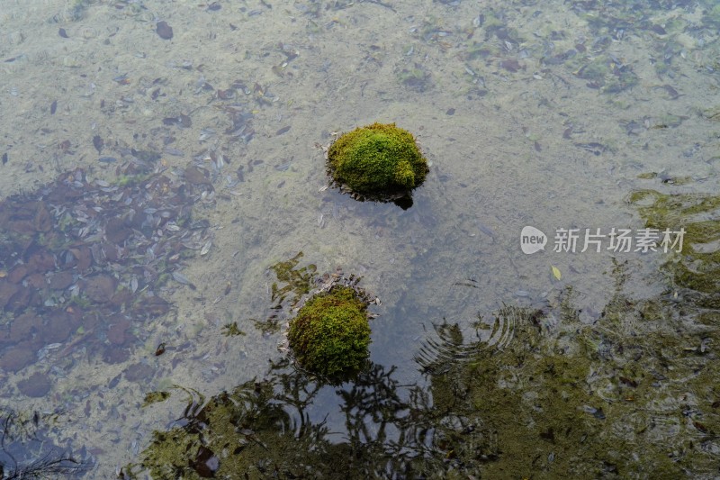 四川阿坝藏族羌族自治州黄龙风景区