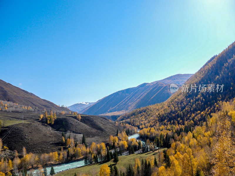 喀纳斯河风景