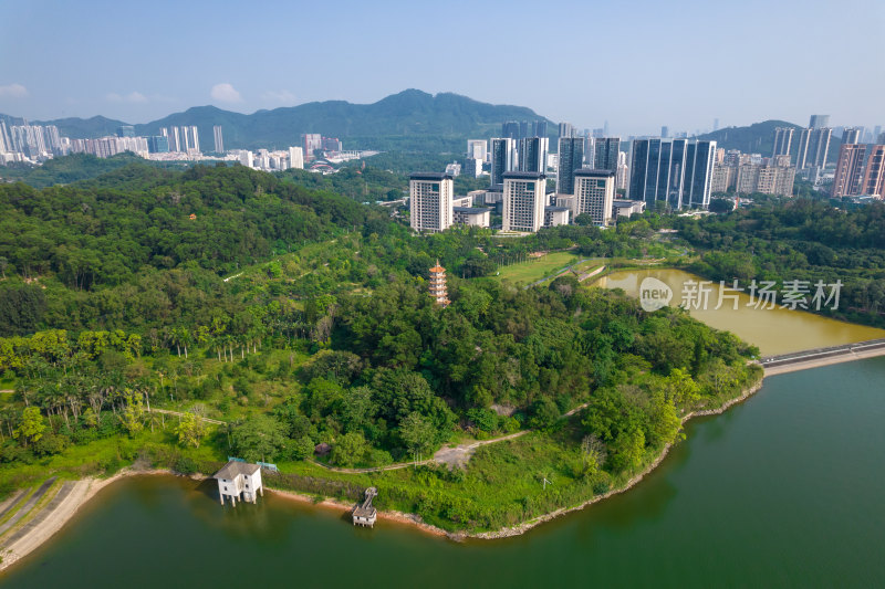 深圳环西丽湖碧道