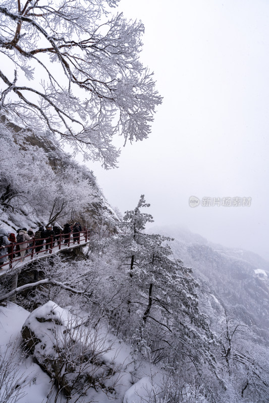 老君山下雪大山森林雾凇景观