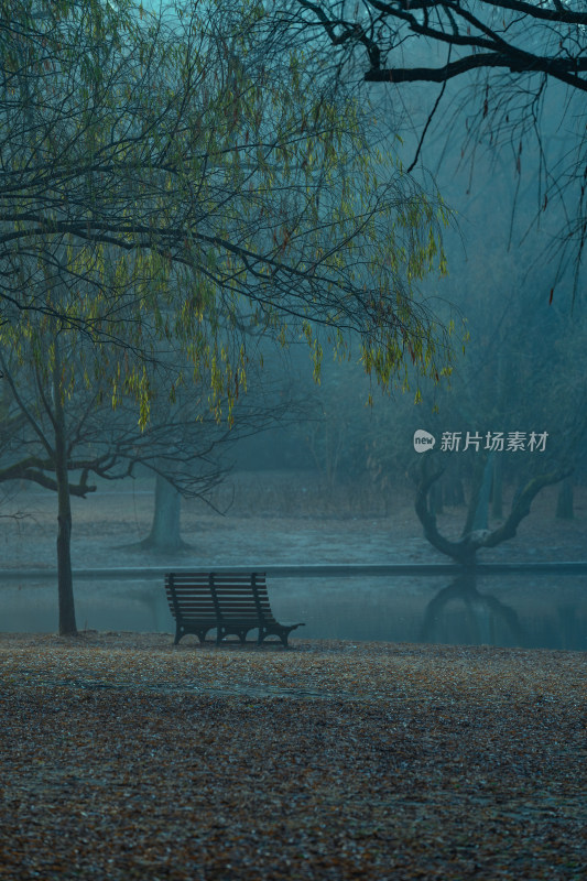 寒冷冬日公园清晨雾天安静唯美