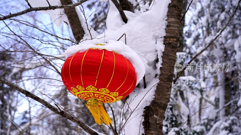 林海雪原