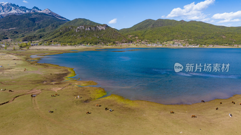 群山环绕的湖泊及周边草地的自然景观