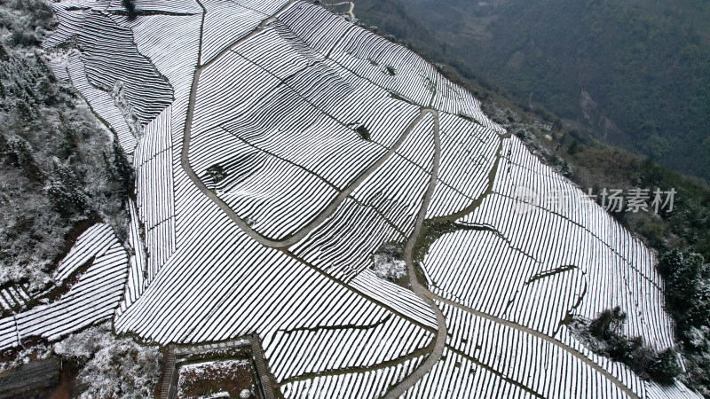 寒潮冬天下雪的大峡谷田野