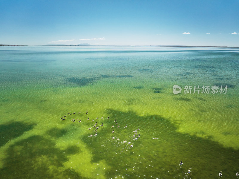 甘肃可鲁克湖的风光美景