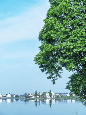 绍兴江南水乡东鉴湖风景