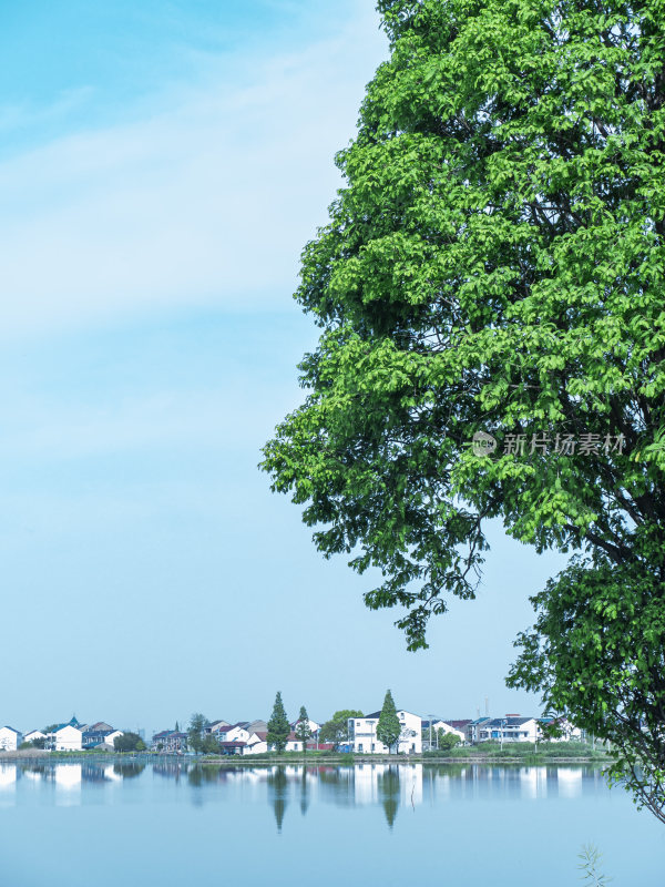 绍兴江南水乡东鉴湖风景