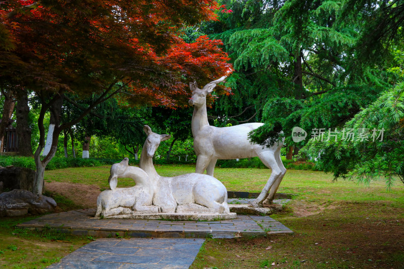 武汉东湖听涛风景区