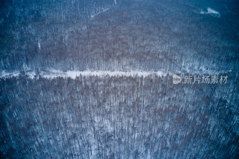 白雪覆盖的长白山