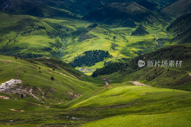 阳光下山谷草原连绵起伏的绿色山川