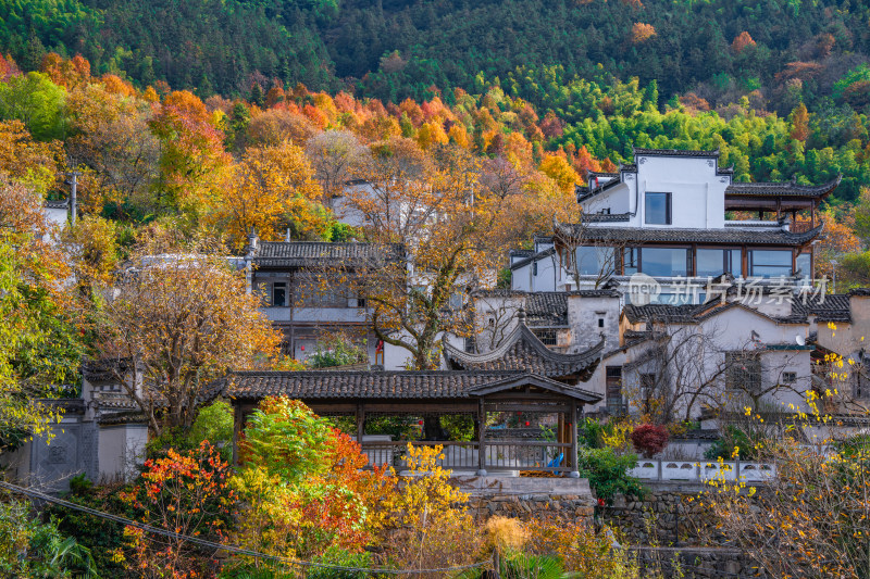 皖南秋色塔川国家森林公园