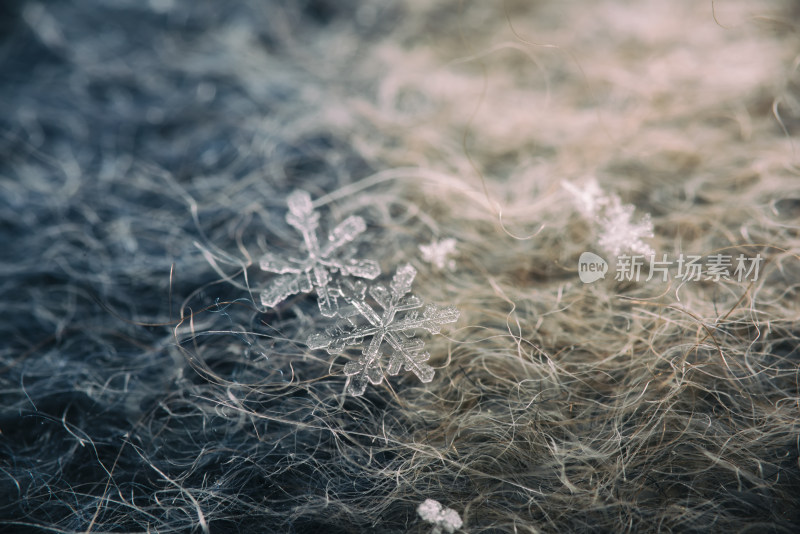 冬天完整的雪花微距特写