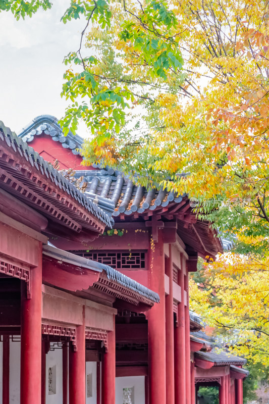 南京钟山风景名胜区明孝陵中的建筑风景