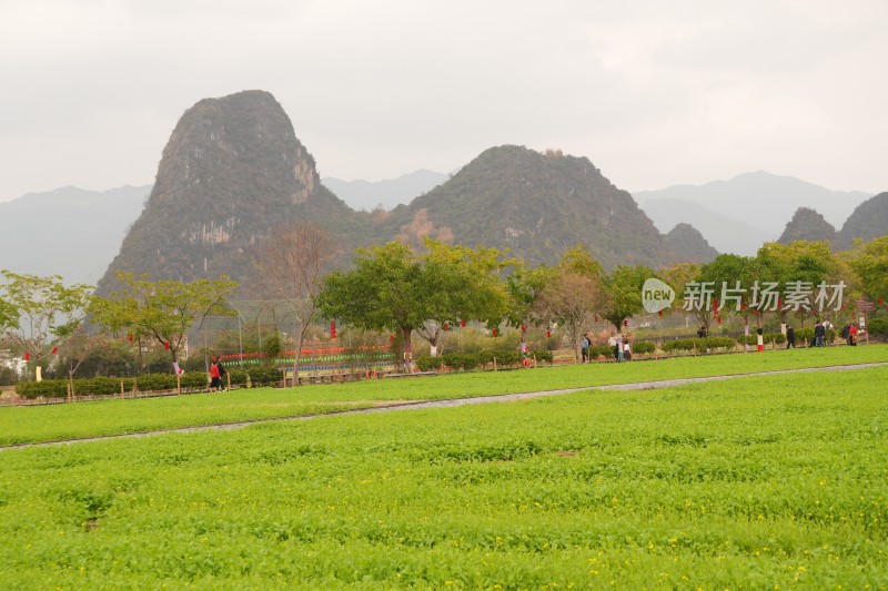 田野绿地与山峦背景的自然景观