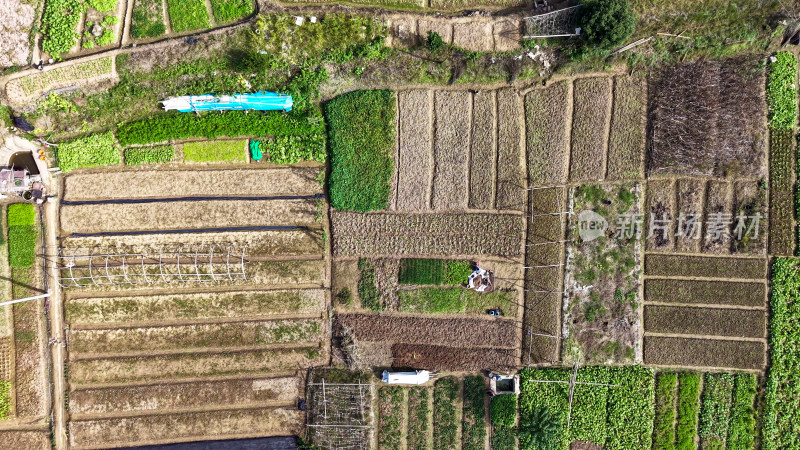 农村菜地农业种植航拍图