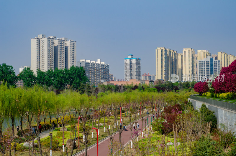 渭南市春天的南湖公园风景