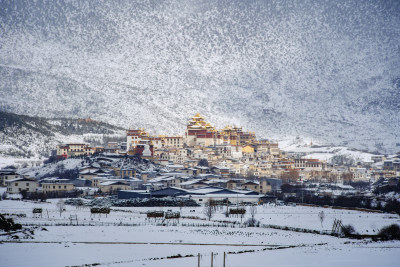 云南迪庆香格里拉松赞林寺雪景