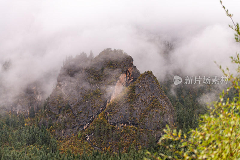 云雾缭绕的森林山峰