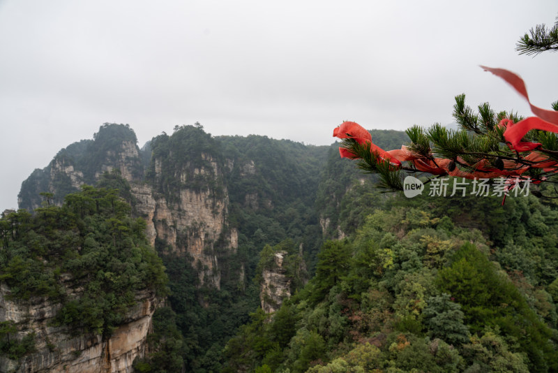 云雾缭绕的张家界奇峰异石景观