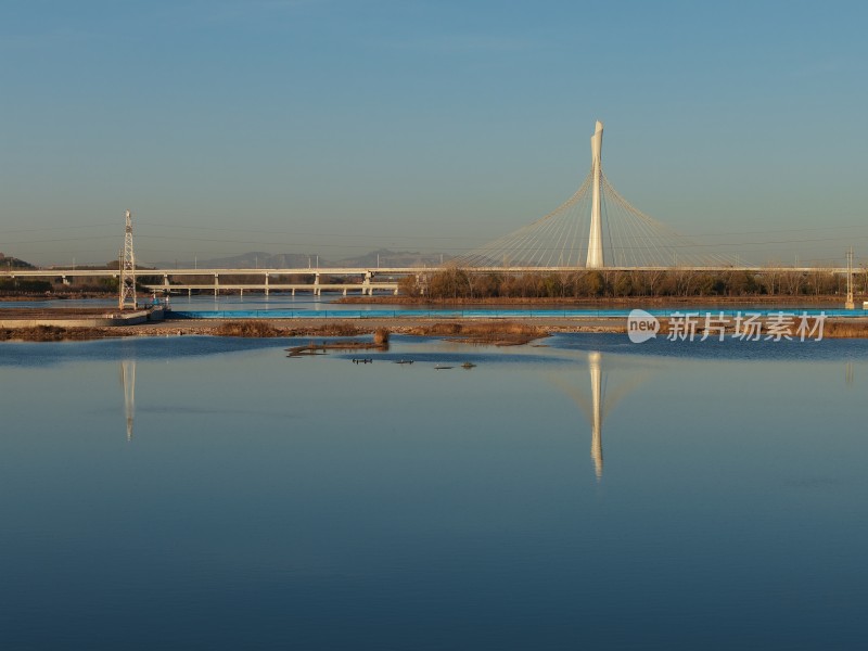 湿地保护区 鸟 石家庄 复兴大街