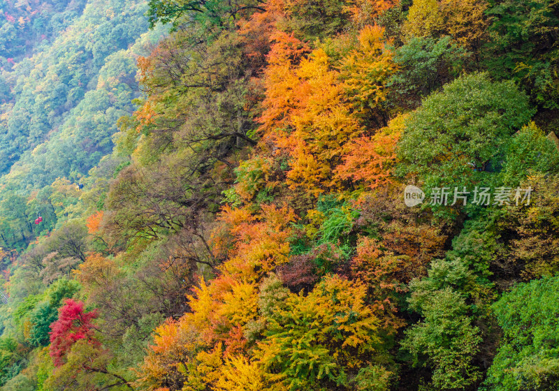 河南省洛阳白云山九龙潭秋天风景