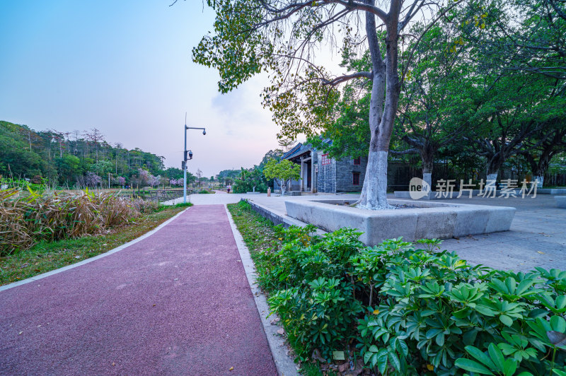 广州番禺大学城中心湖公园湖畔红色运动跑道
