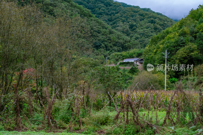 汉中留坝火烧店镇秦岭深处的山村田园风光