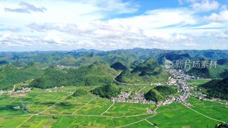 夏季乡村田园水稻稻田风光