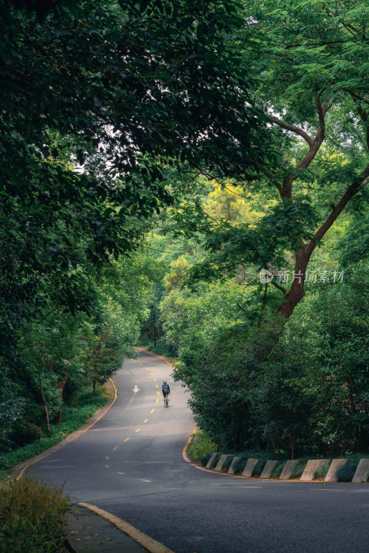 林间道路骑行者