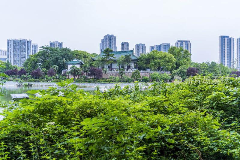 武汉汉阳月湖风景区风光