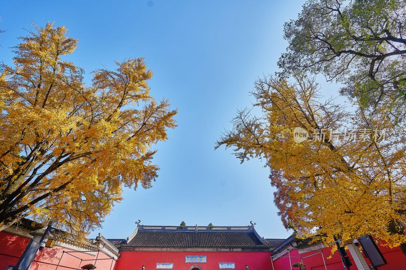 南京栖霞山栖霞寺秋色