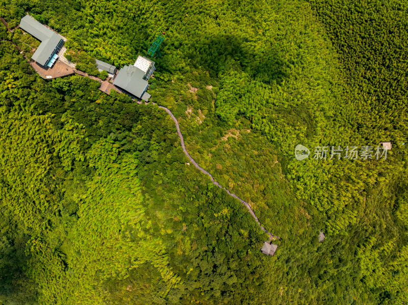 夏季白天航拍常州溧阳天目山南山竹海景区